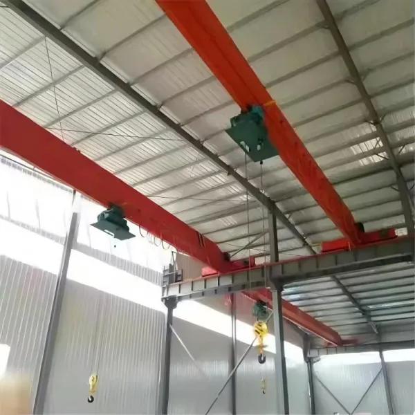 ldy-type-metallurgical-single-girder-crane84321.webp