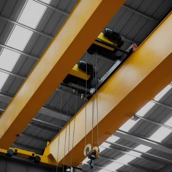 european-standard-double-girder-bridge-crane202506090515099d84d.webp